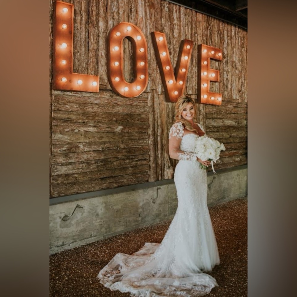 Designer PRONOVIAS PRIVEE Wedding Dress: JAMEELA w/ CUSTOM detach sleeves - Picture 7 of 14